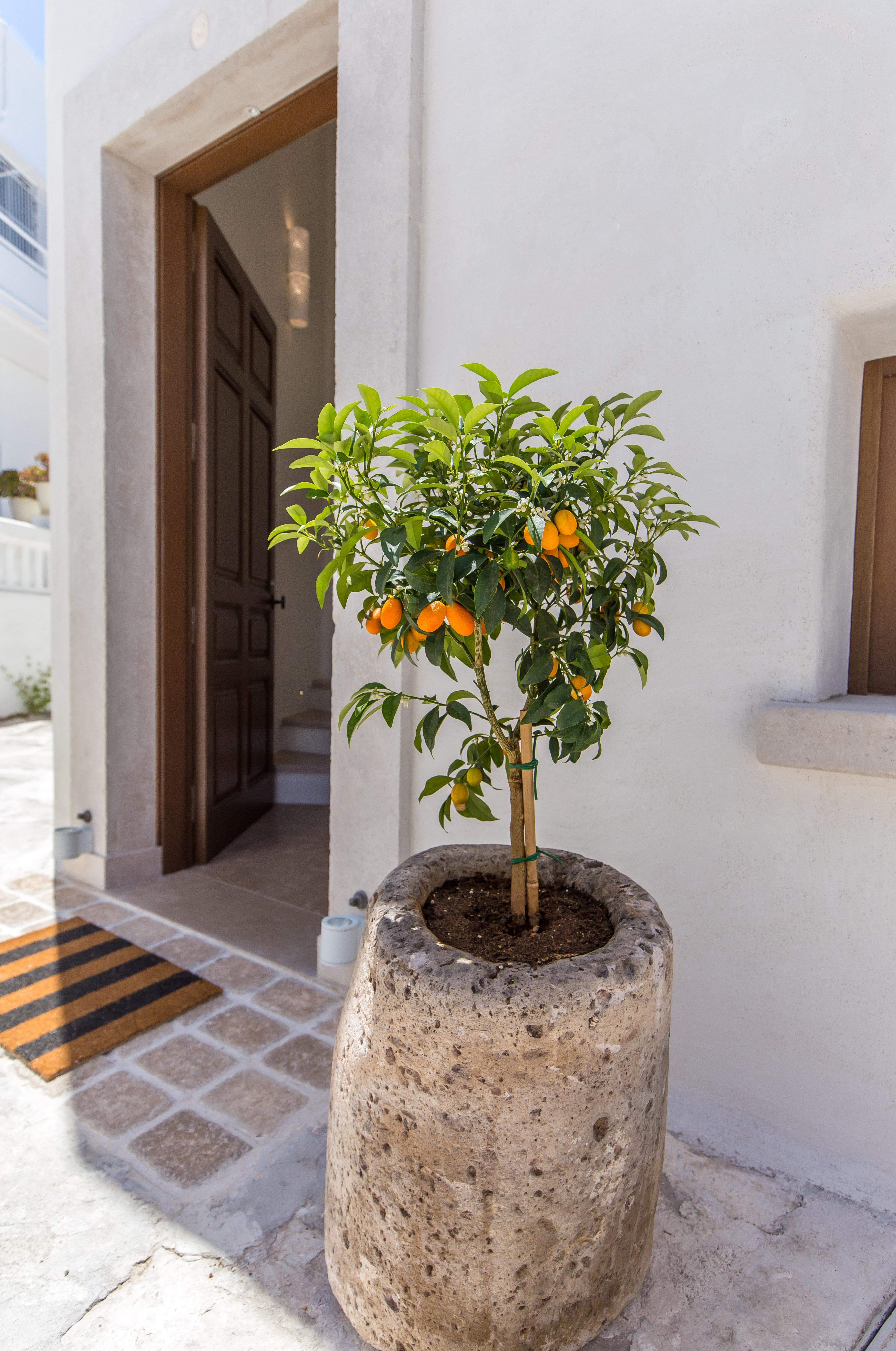 Anagram Hotel (Adults Only) Mykonos Town Exterior foto